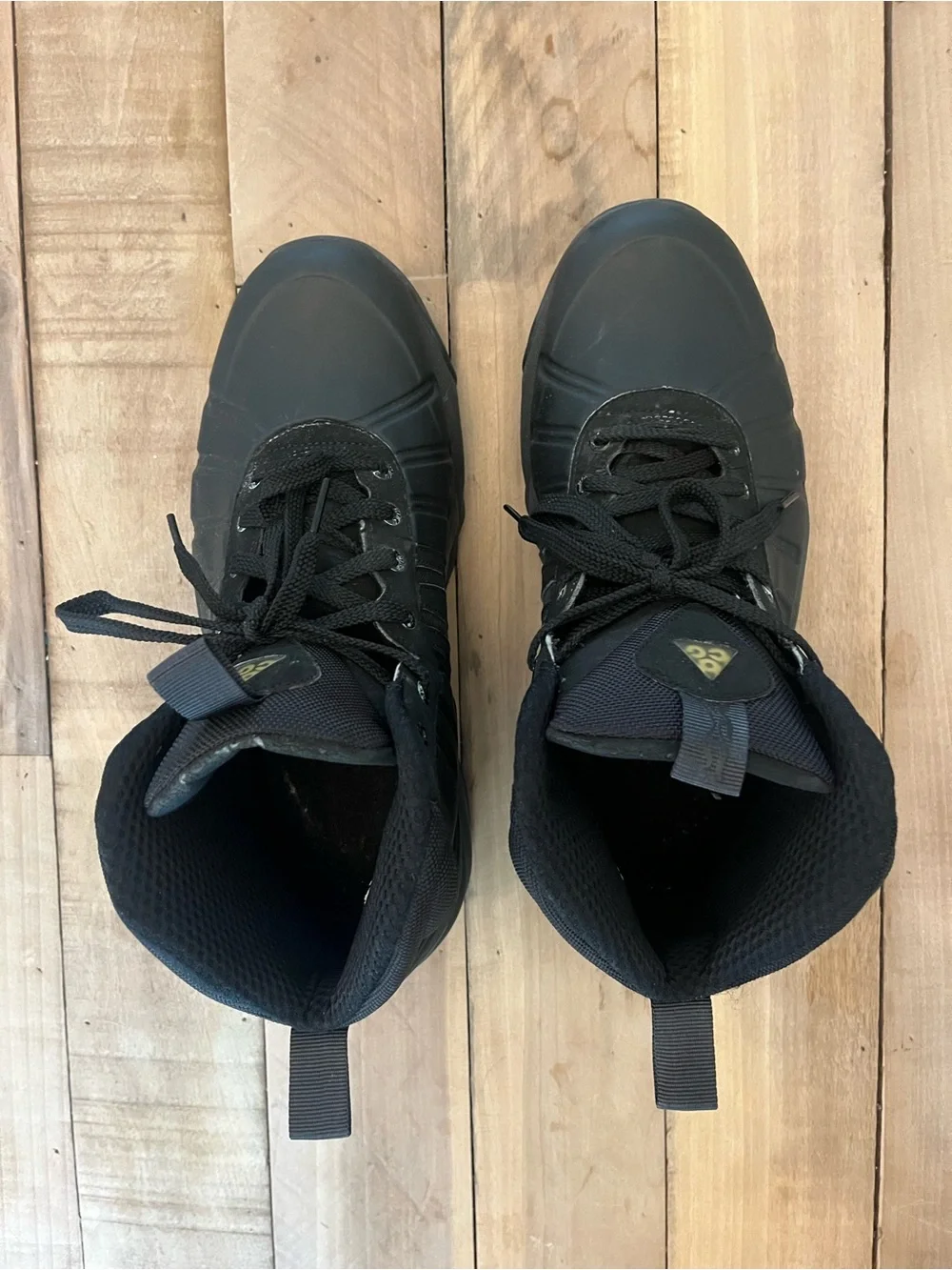Nike ACG nike air
